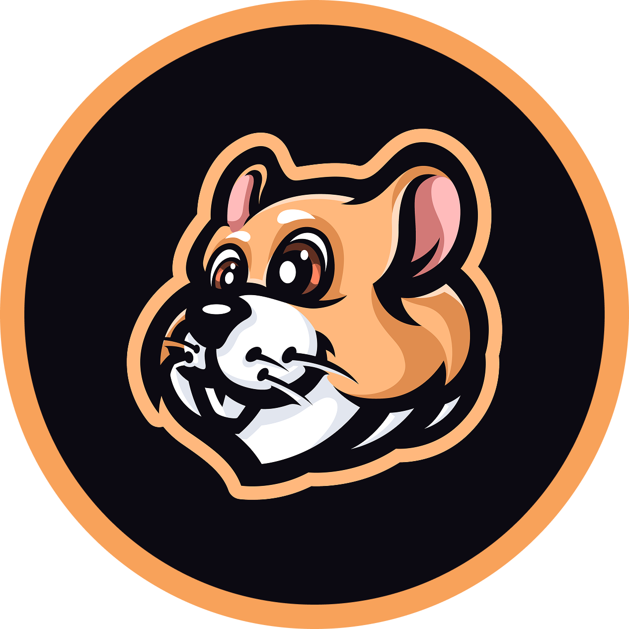 HAMS Token